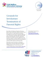 Grounds for Involuntary Termination of Parental Rights