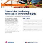 Grounds for Involuntary Termination of Parental Rights