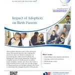 Impact of Adoption on Birth Parents
