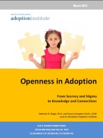 Openess in Adoption