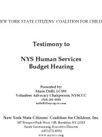 Testimony to NYS Human Services Budget Hearing