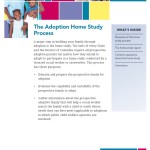 The Adoption Home Study Process