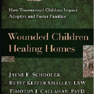 Wounded Children Healing Homes