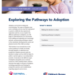 Exploring the Pathways to Adoption