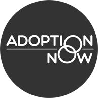 adoptions_now